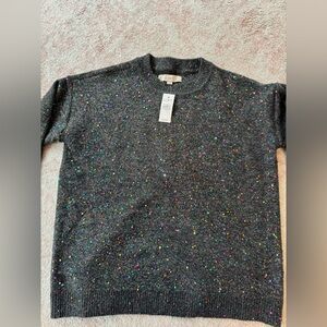 LOFT- Sequined sweater